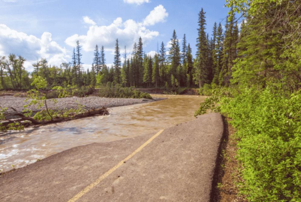 Flooded road partially submerged by a muddy river, with downed trees and boreal forest on both sides.